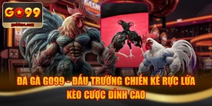 Đá Gà GO99 - Đấu Trường Chiến Kê Rực Lửa, Kèo Cược Đỉnh Cao