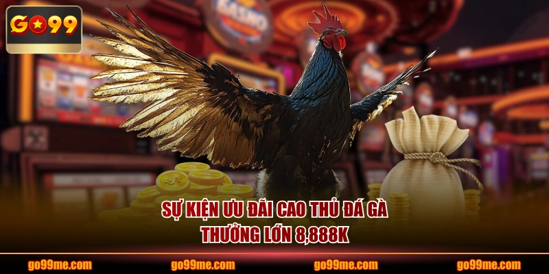 Sự kiện ưu đãi cao thủ đá gà thưởng lớn 8,888K